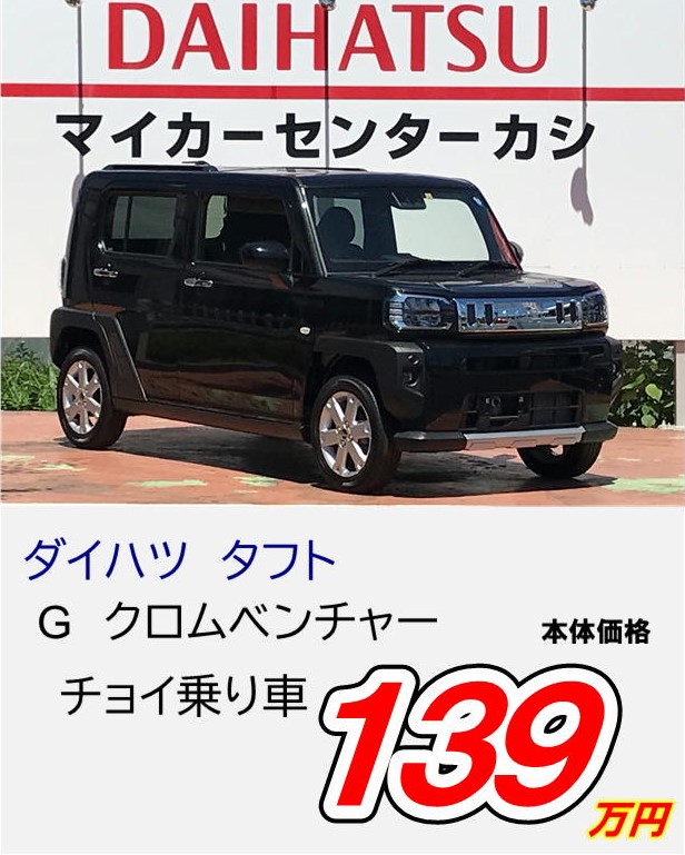 タフト